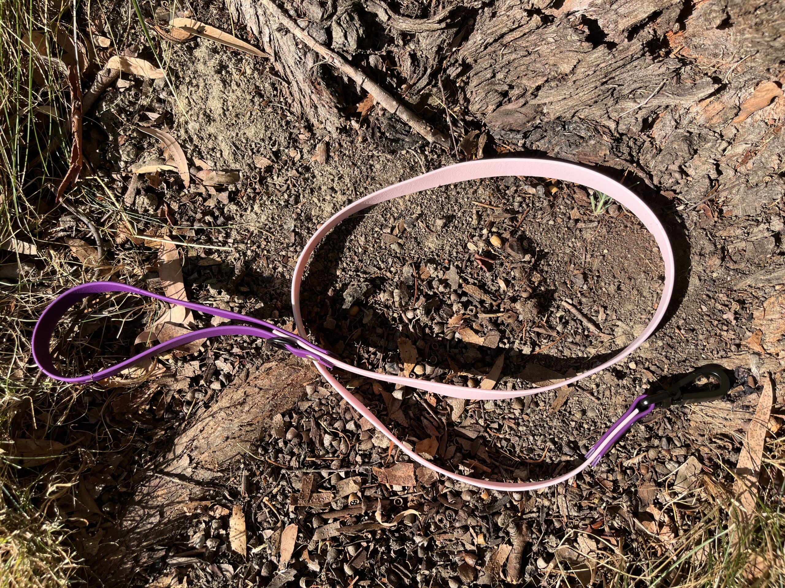 laisse rose pastel et violet