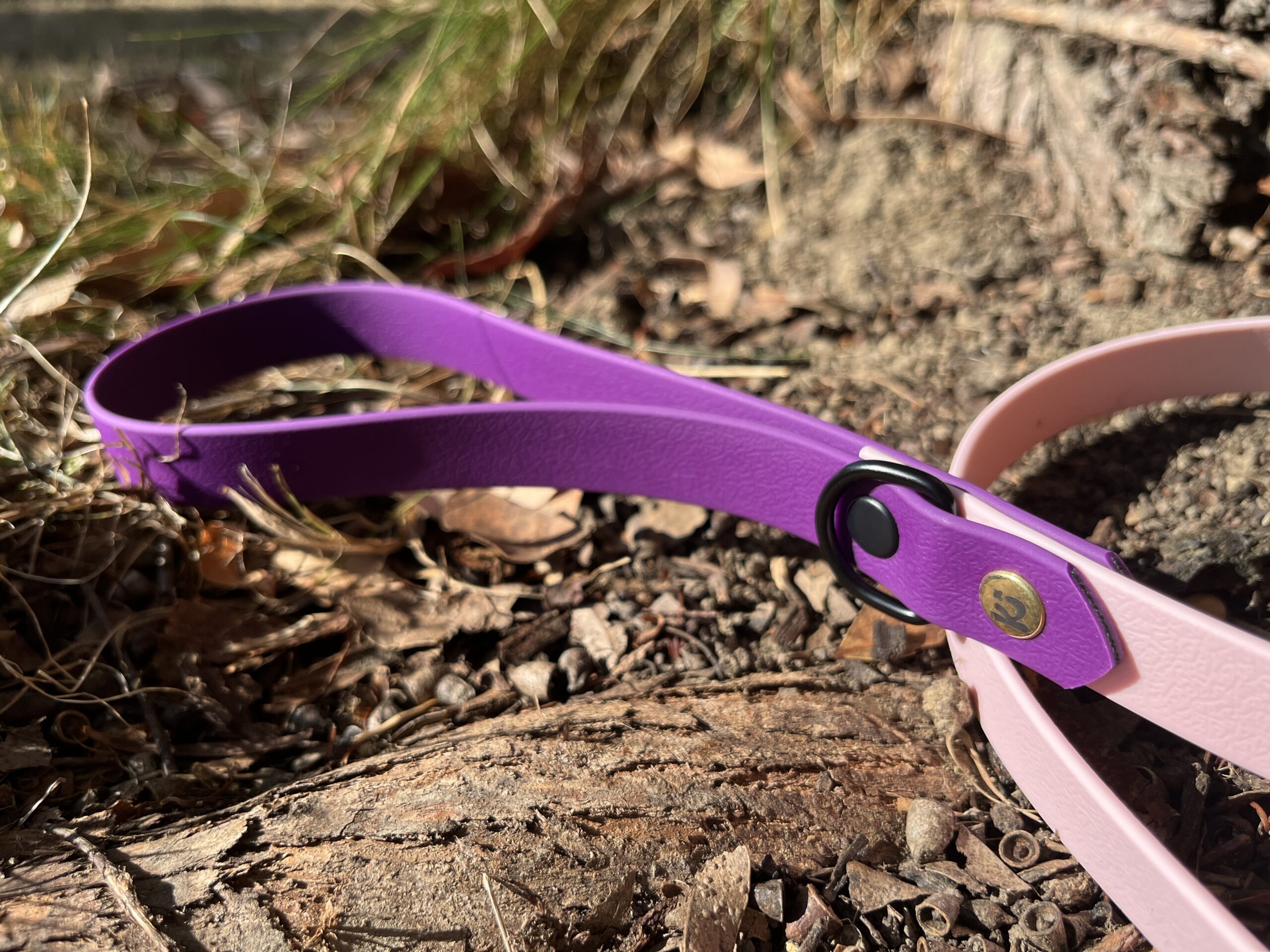 laisse rose pastel et violet
