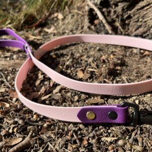 laisse rose pastel et violet