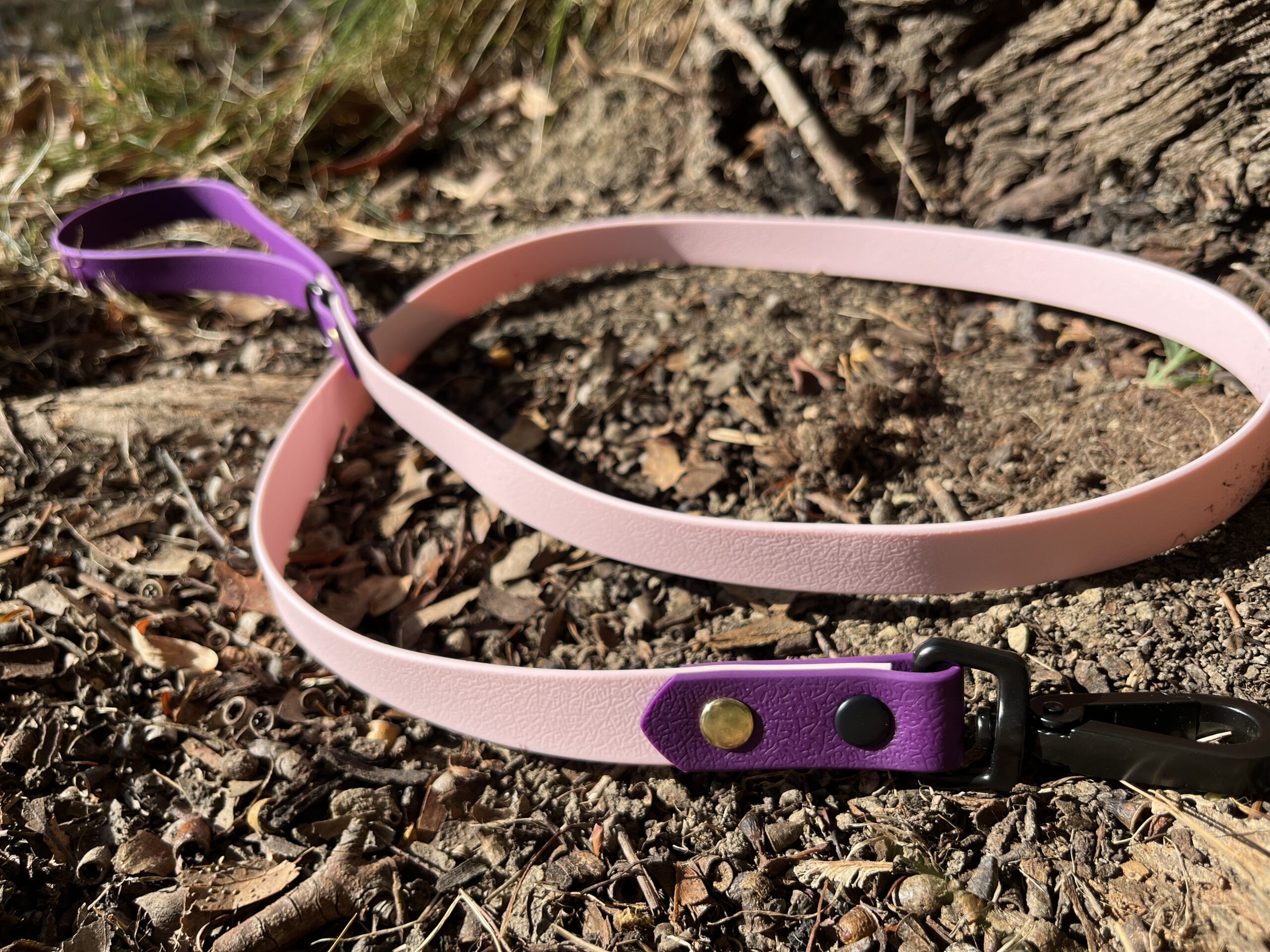 laisse rose pastel et violet