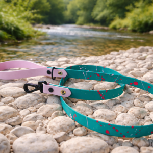 Laisse paint'ki vert et rose pastel