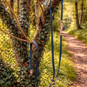 Laisse 3'Ki bleu kérosène et beige savane