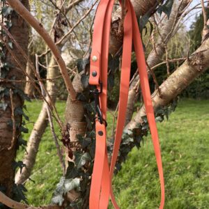 Laisse Long'Ki terracotta 180cm