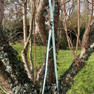 Laisse Long'ki bleu pastel 180cm