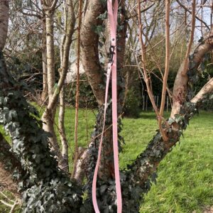 Laisse Long'ki Rose pastel 180cm