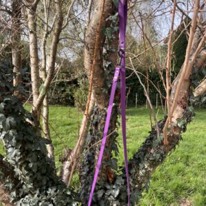 Laisse Long'ki violet 180cm