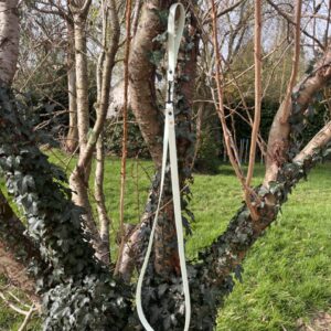 Laisse Long'ki menthe verte 180cm