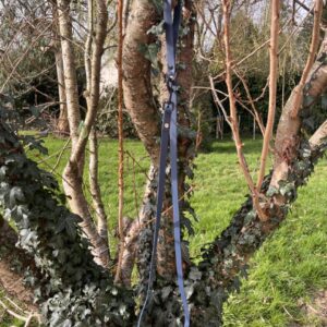 Laisse Long'ki Bleu kérosène 180cm