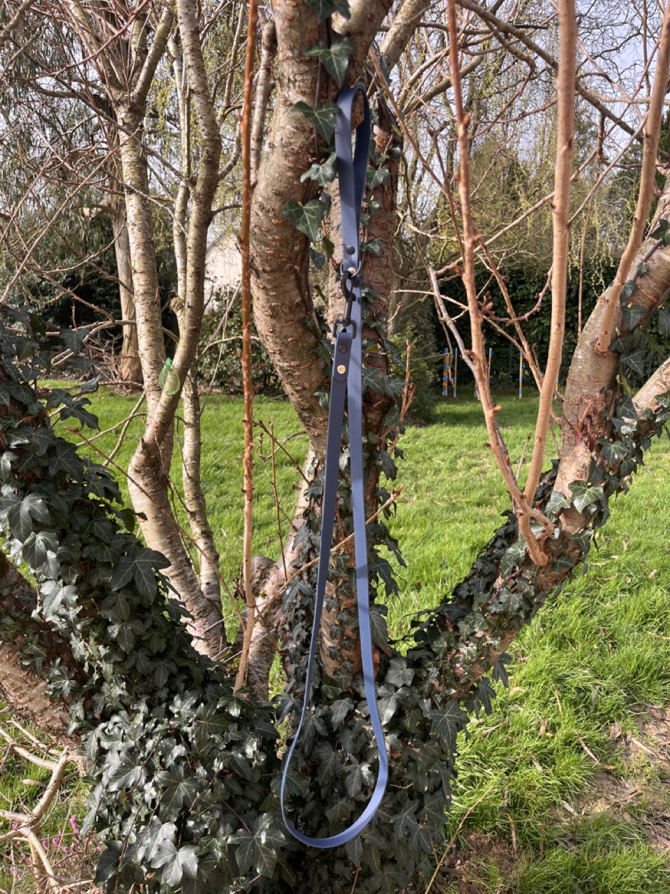 Laisse Long'ki Bleu kérosène 180cm