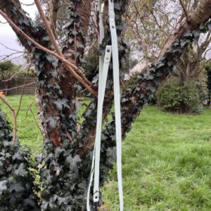 Laisse 3'Ki menthe verte