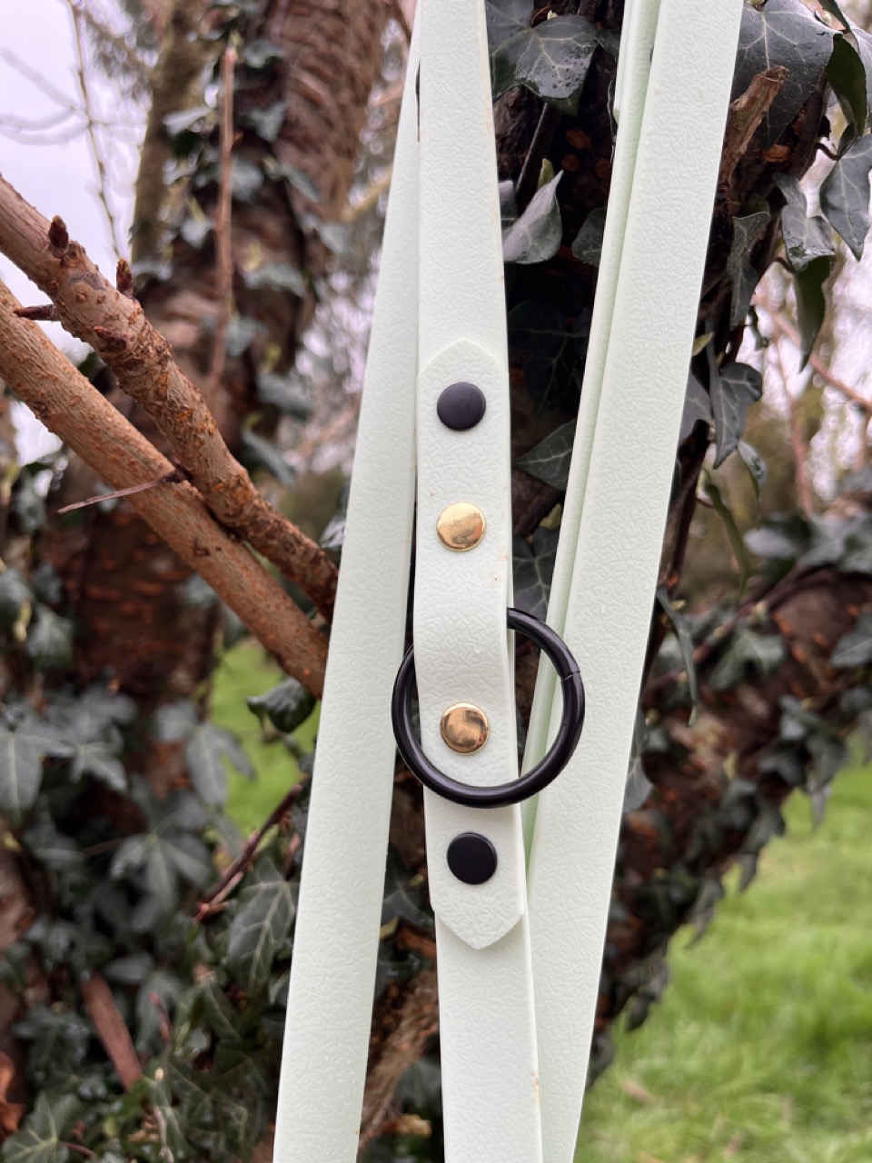 Laisse 3'Ki menthe verte – Image 2