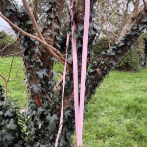 Laisse 3'Ki rose pastel