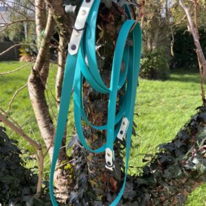 Longe vert et menthe verte, 3 points