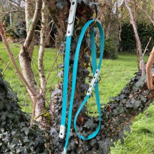 Laisse 3'Ki vert et menthe verte