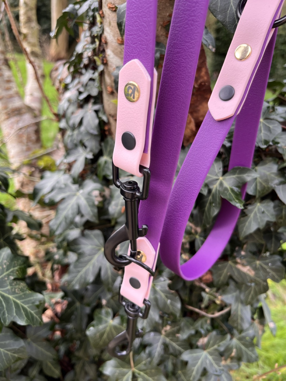 Laisse 3'Ki violet et rose pastel – Image 3