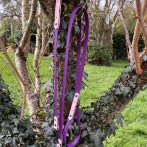 Laisse 3'Ki violet et rose pastel