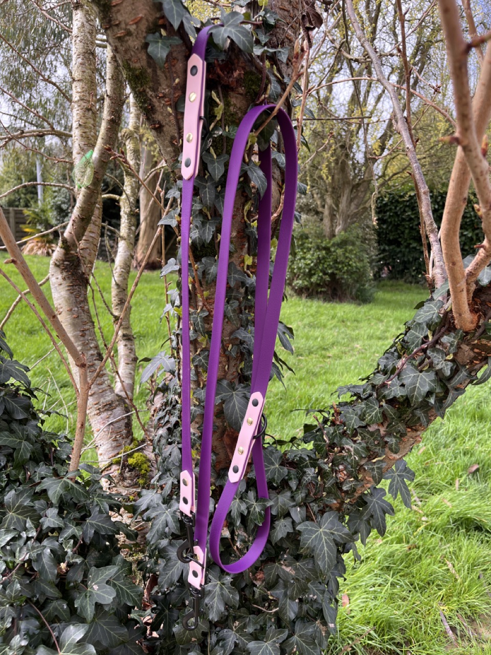 Laisse 3'Ki violet et rose pastel