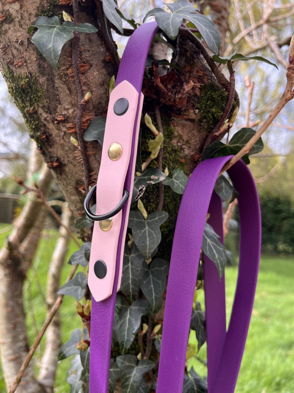 Laisse 3'Ki violet et rose pastel – Image 2