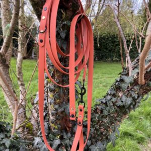 Longe Terracotta, 3 points