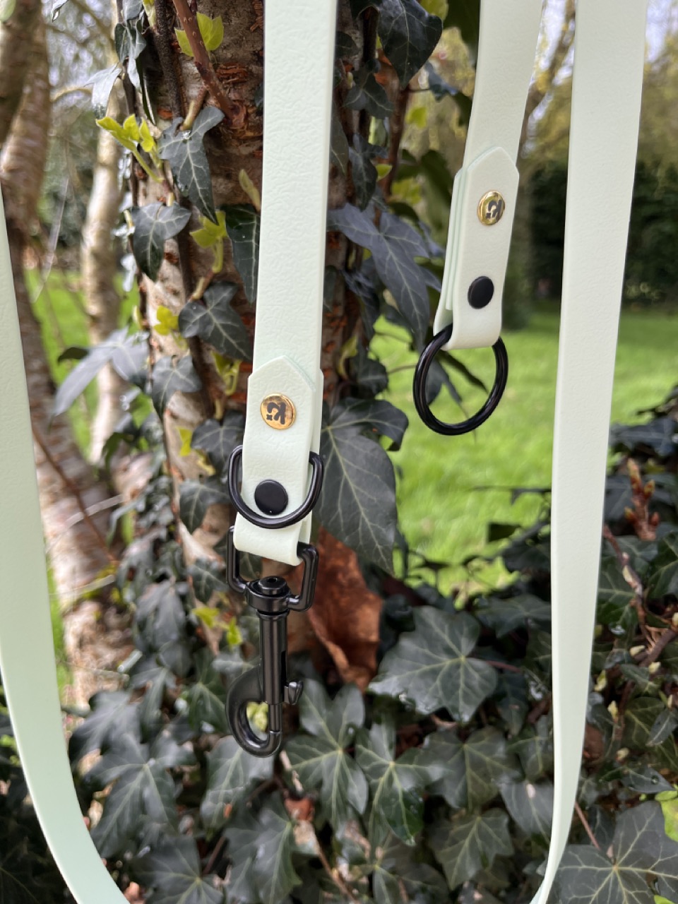 Longe Menthe verte, 3 points – Image 3