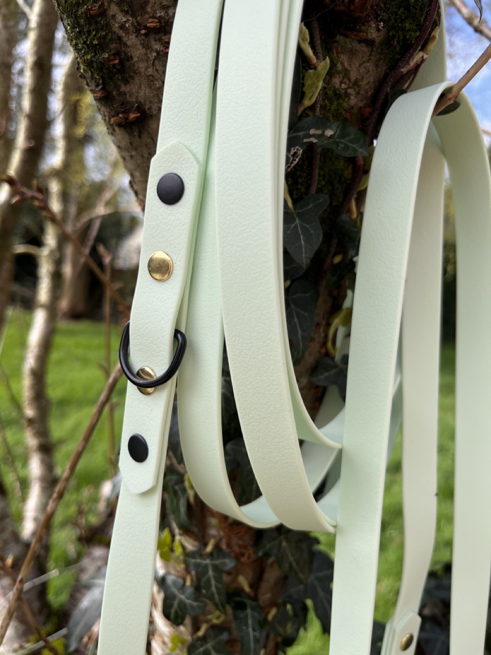 Longe Menthe verte, 3 points – Image 2