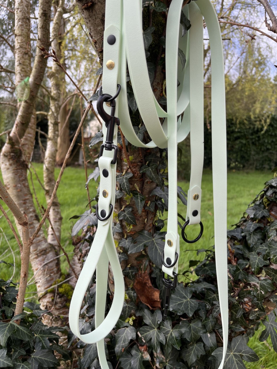 Longe Menthe verte, 3 points – Image 4