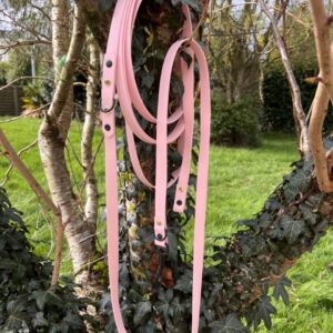 Longe Rose pastel, 3 points