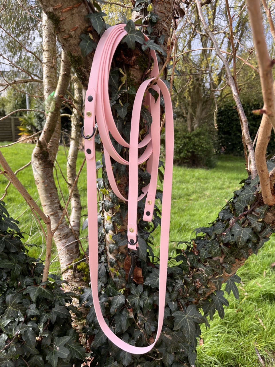 Longe Rose pastel, 3 points