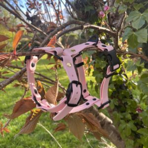 harnais rose pastel