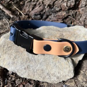 collier chien