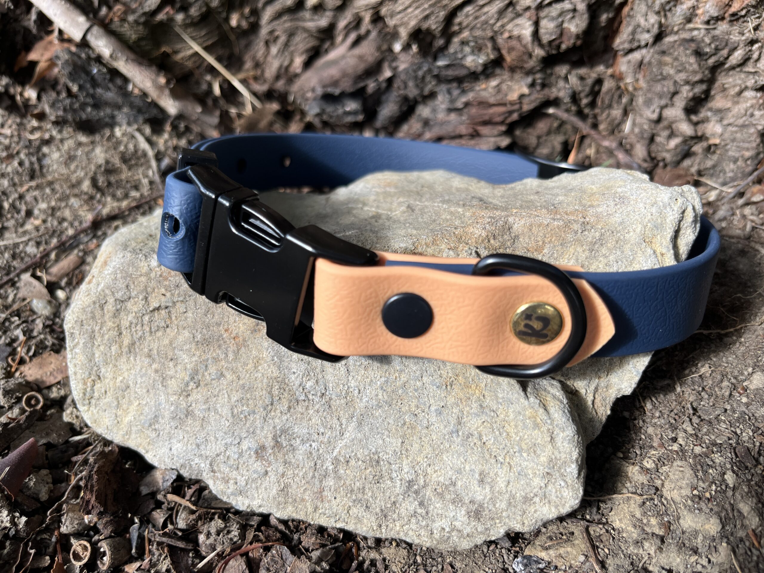 collier chien