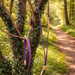 Laisse 3'Ki violet et beige savane