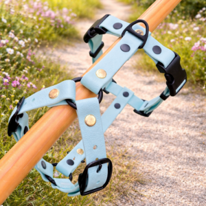 harnais bleu pastel