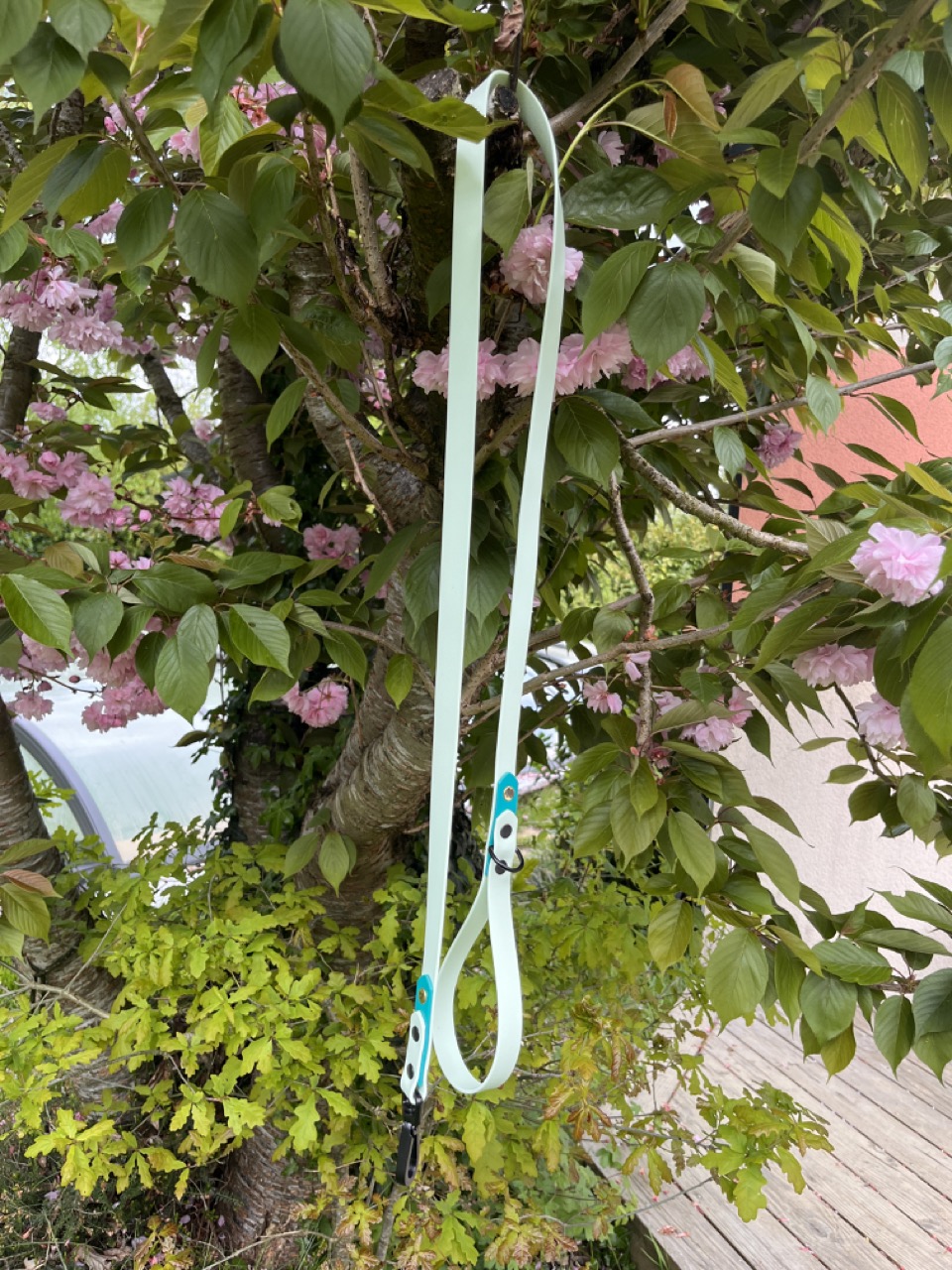 Laisse Epi'Ki Menthe verte et vert pastel – Image 2