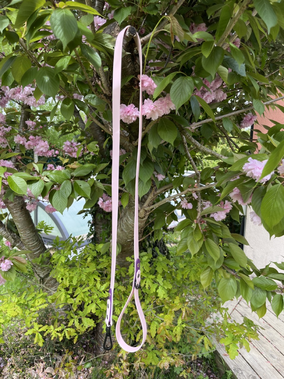 Laisse Epi'Ki Rose pastel et violet – Image 2