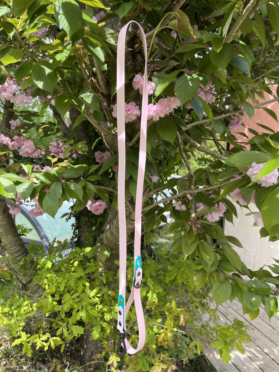 Laisse Epi'Ki Rose pastel et vert – Image 2