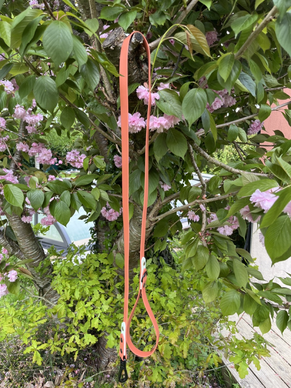 Laisse Epi'Ki Terracotta et menthe verte – Image 2