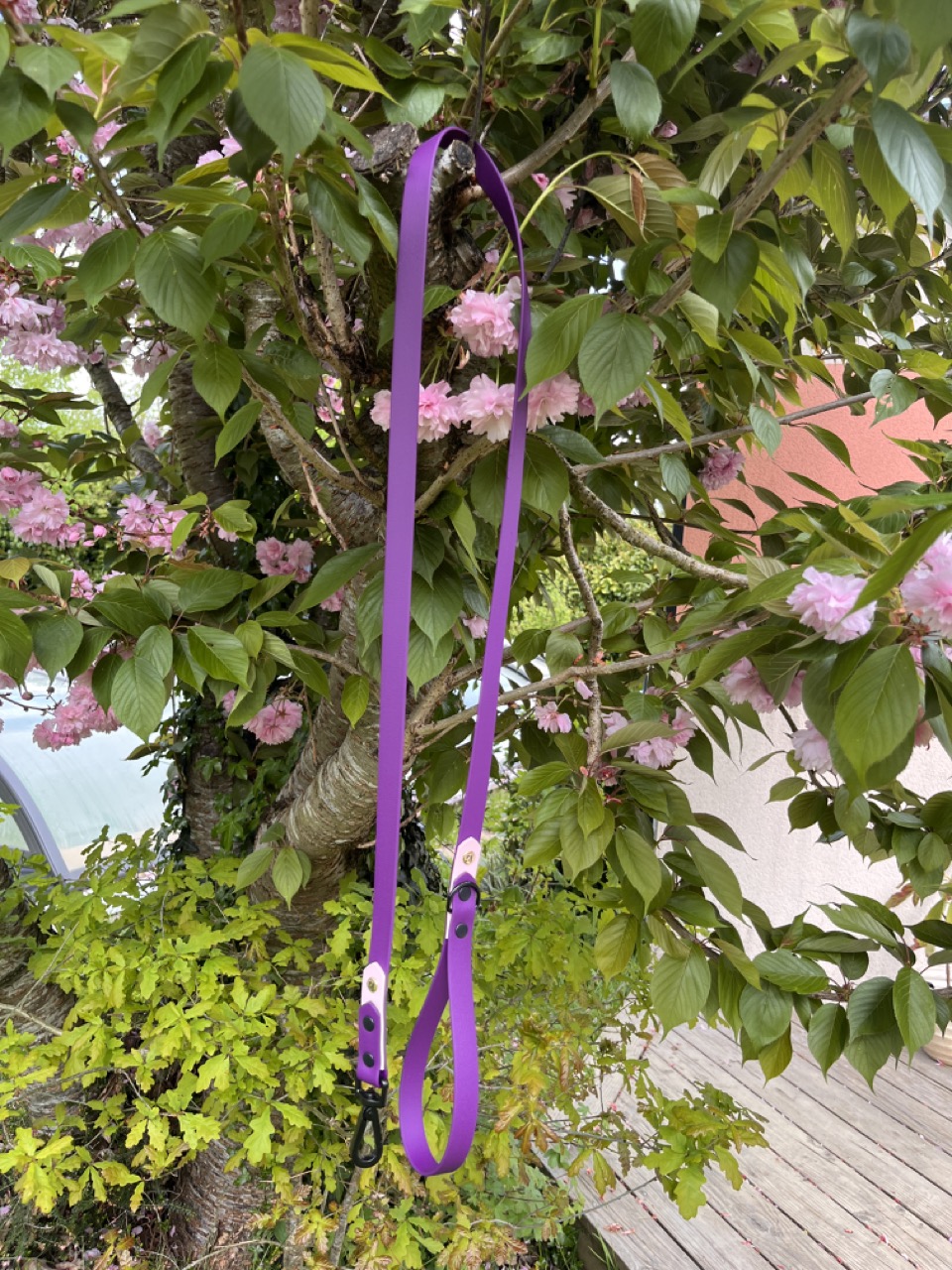 Laisse Epi'Ki Violet et rose pastel – Image 2