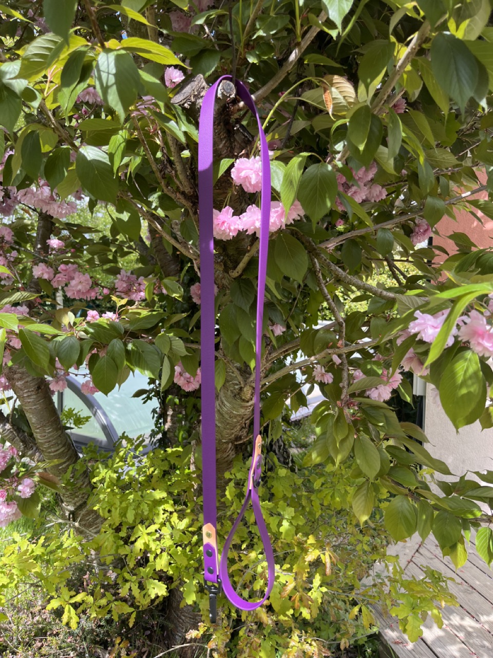 Laisse Epi'Ki Violet et beige savane – Image 2