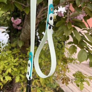 Laisse Epi'Ki Menthe verte et vert pastel