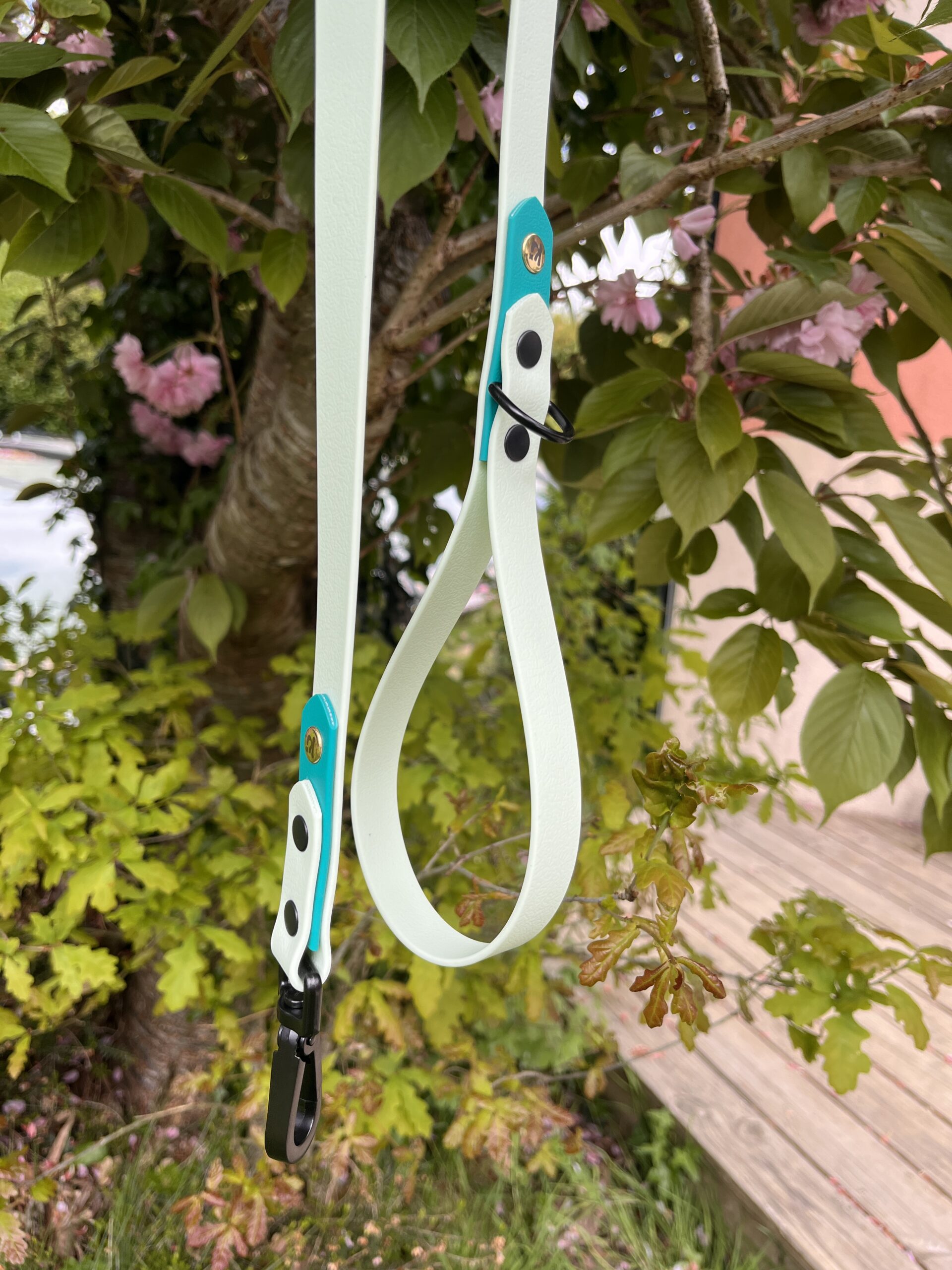 Laisse Epi'Ki Menthe verte et vert pastel