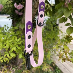 Laisse Epi'Ki Rose pastel et violet