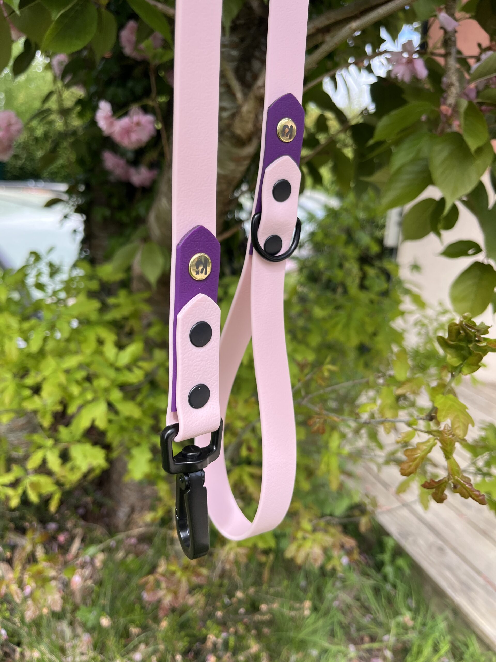 Laisse Epi'Ki Rose pastel et violet