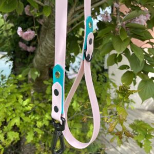 Laisse Epi'Ki Rose pastel et vert