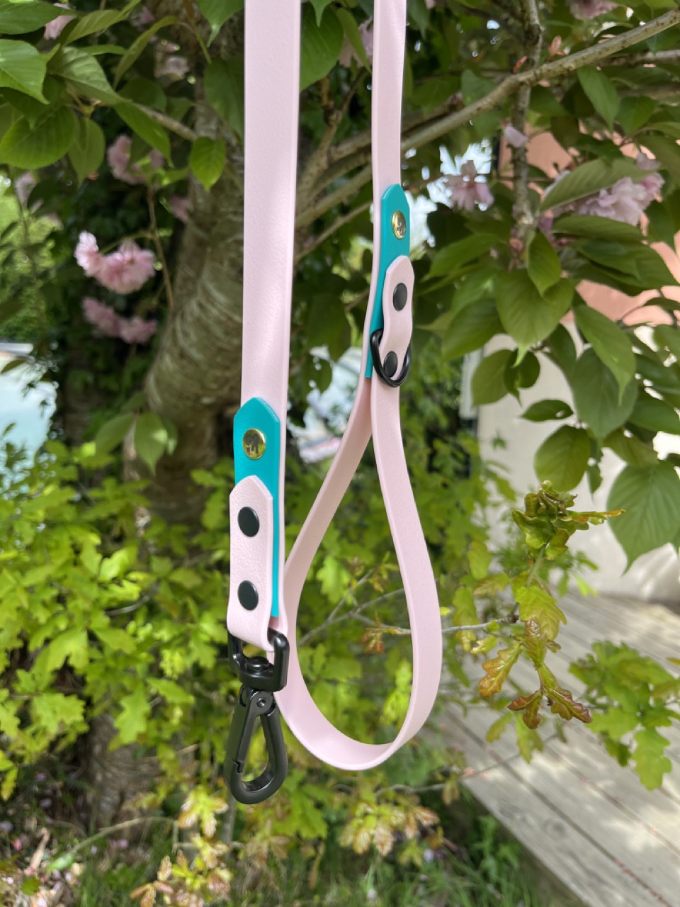 Laisse Epi'Ki Rose pastel et vert