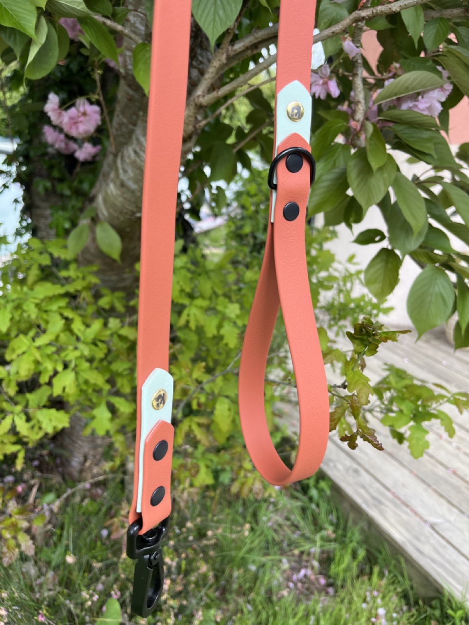Laisse Epi'Ki Terracotta et menthe verte