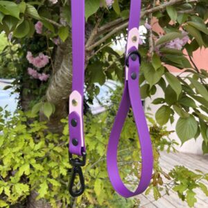 Laisse Epi'Ki Violet et rose pastel