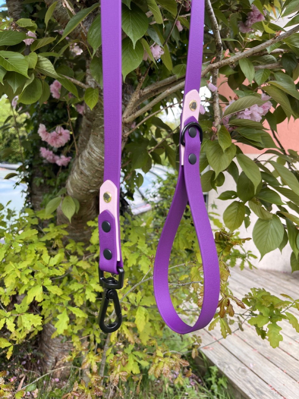 Laisse Epi'Ki Violet et rose pastel