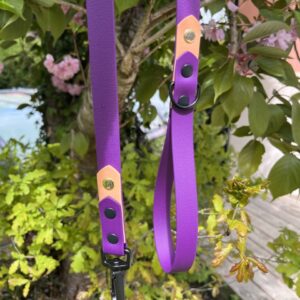 Laisse Epi'Ki Violet et beige savane