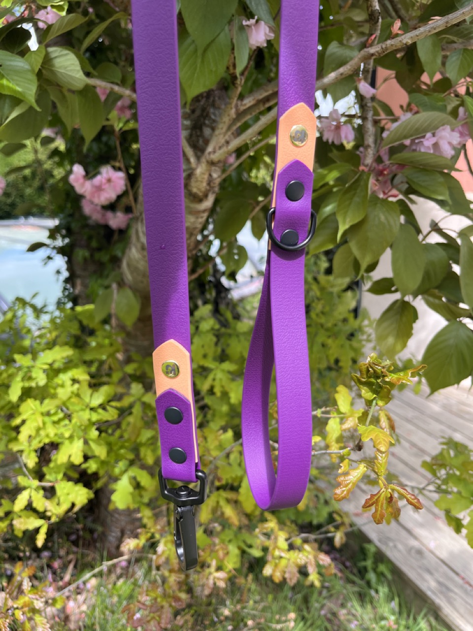 Laisse Epi'Ki Violet et beige savane